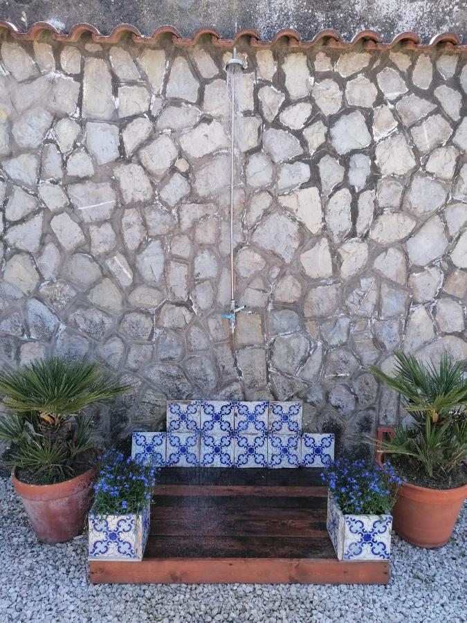 B&B Villa Teresa Σορέντο Εξωτερικό φωτογραφία