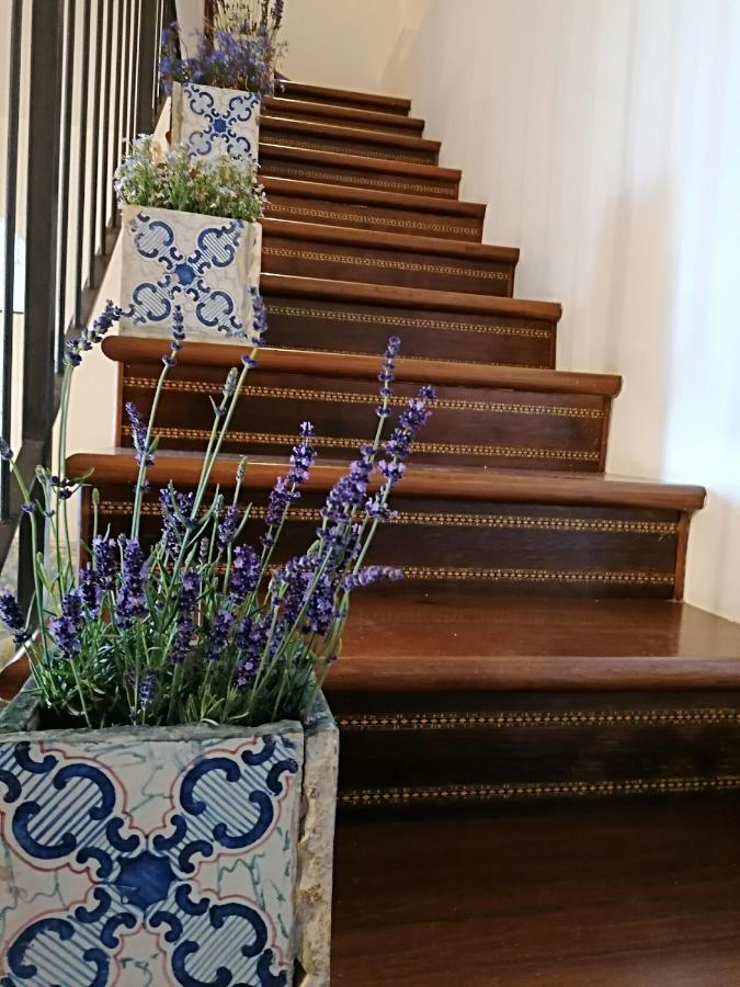 B&B Villa Teresa Σορέντο Εξωτερικό φωτογραφία