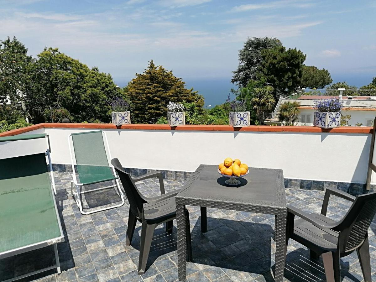 B&B Villa Teresa Σορέντο Εξωτερικό φωτογραφία